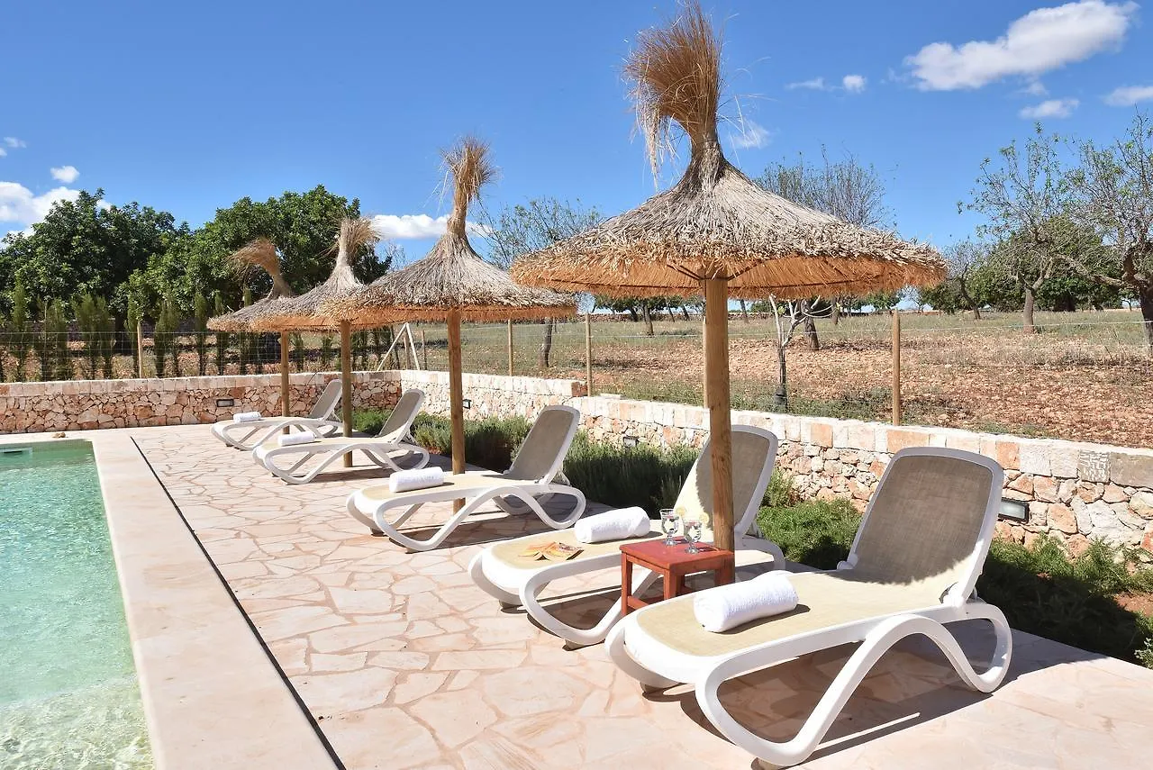 Holiday home Finca Sonduri Porto Petro  Spain