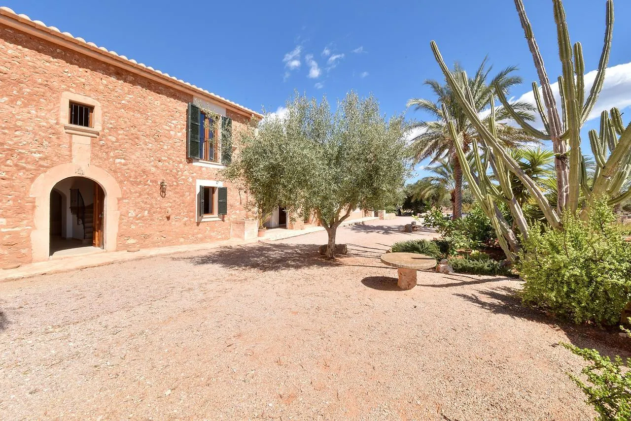 Holiday home Finca Sonduri Porto Petro