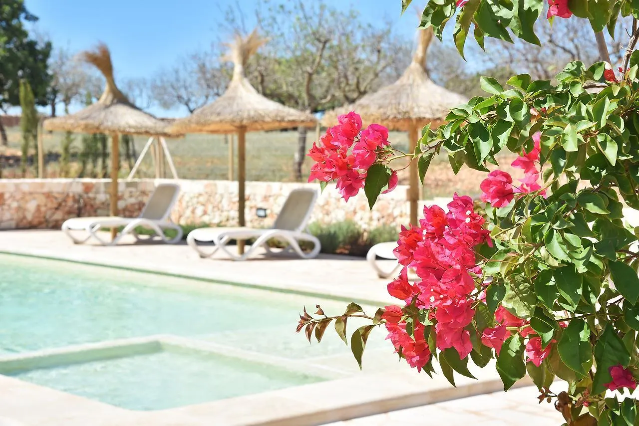 Finca Sonduri Porto Petro  Spain